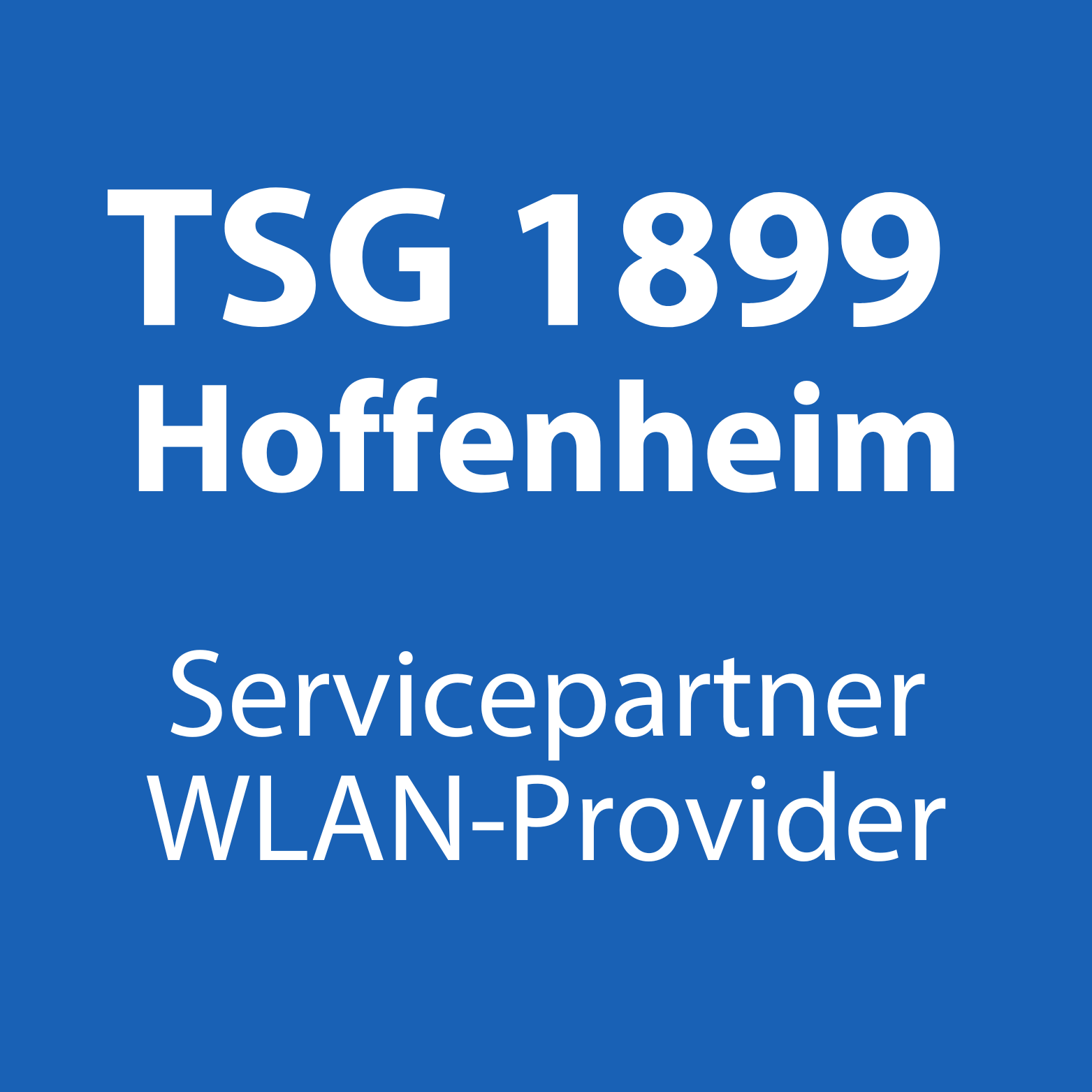 Heidelberg iT - Referenz - TSG Hoffenheim - Wortmarke