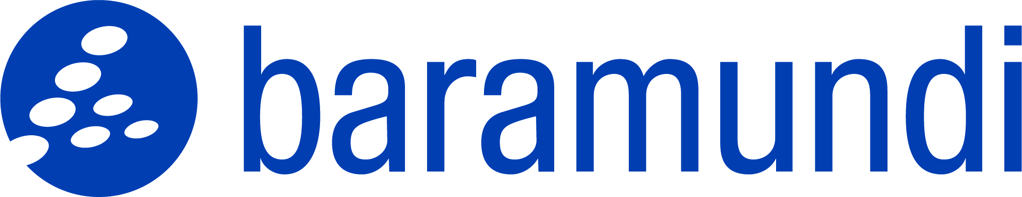 Heidelberg iT - Über uns - Technologiepartner - baramundi