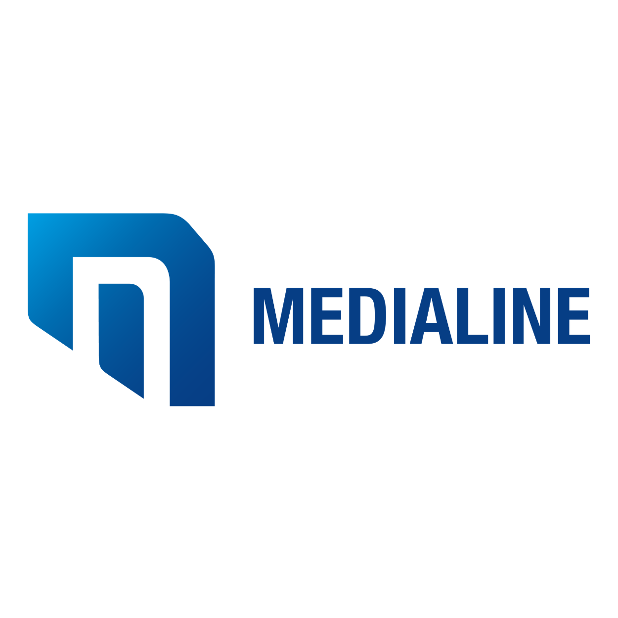 MEDIALINE AG Heidelberg iT - TechPartner - Veeam Competency Partner Off-site Backup